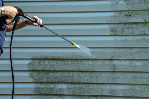 Best House Pressure Washing  in Bayou Blue, LA