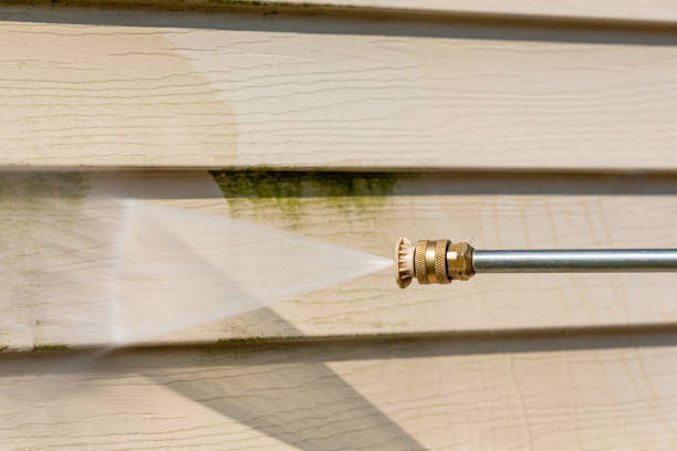 Best Power Washing Near Me  in Bayou Blue, LA